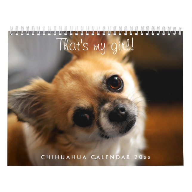 Calendário Chihuahua 2026 (Capa)