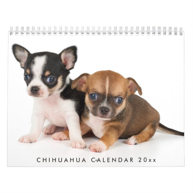 Calendário Chihuahua 2026 Adicione Suas Fotos (Capa)