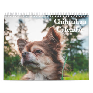 Calendário Chihuahua 2027