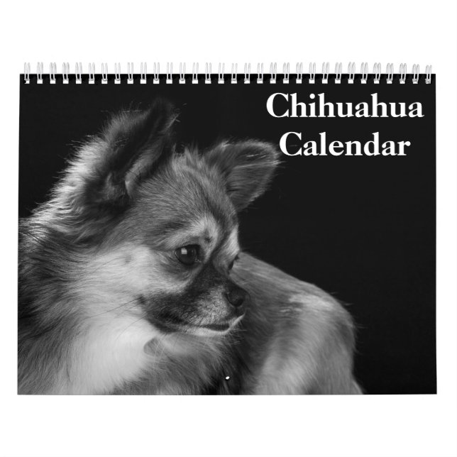 Calendário Chihuahua 2027 (Capa)