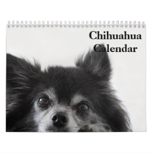 Calendário Chihuahua 2027