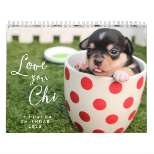 Calendário Chihuahua Calendar 2023 Ame Seu Chi Adicionar Foto