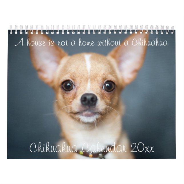 Calendário Chihuahua Calendar 2023 House Não É Uma Foto Em Ca (Capa)