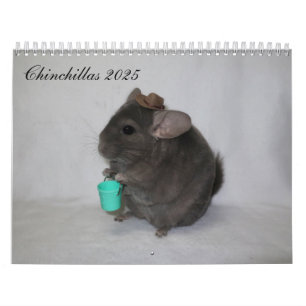Calendário Chinchilla Calendar