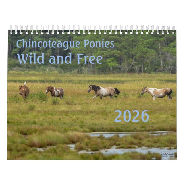 Calendário Chincoteague Ponies Wild and Free 2026 Calendar (Capa)