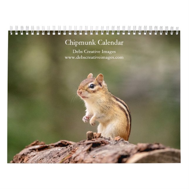 Calendário Chipmunk 2026 (Capa)