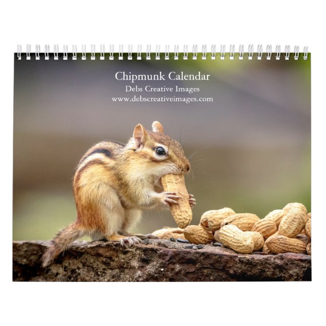 Calendário Chipmunk 2026 (Capa)