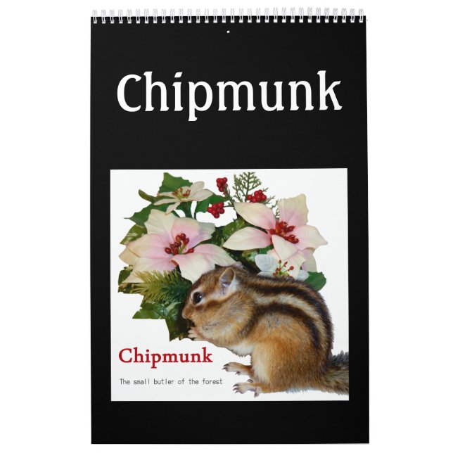 Calendário chipmunk (EUA) (Capa)