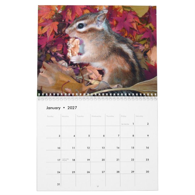 Calendário chipmunk,Squirrel,photo,calendar (Jan 2027)