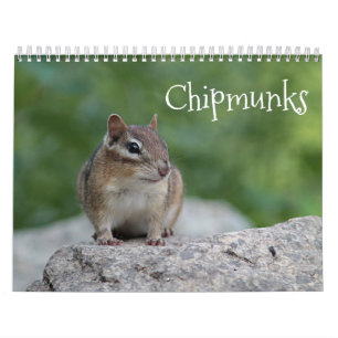Calendário Chipmunks