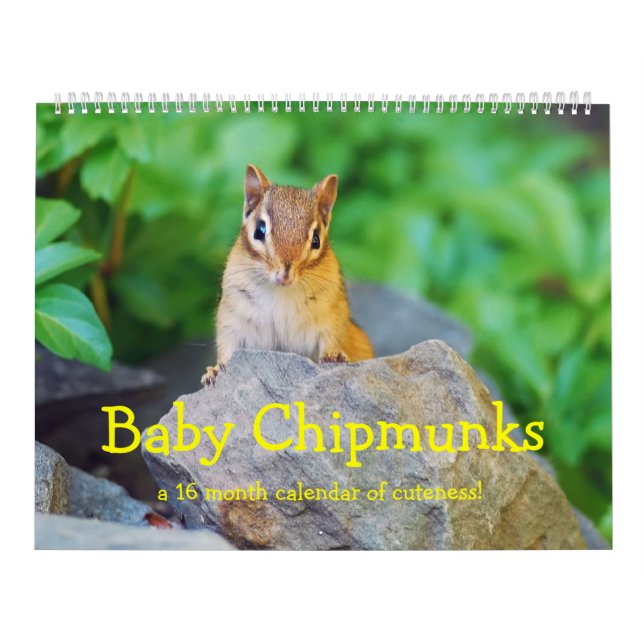 Calendário Chipmunks 2016/2017 do bebê (calendário de 16 (Capa)