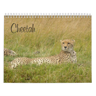 Calendário Chita 2008