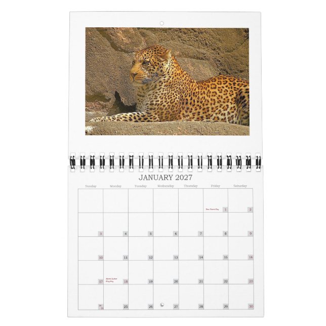 Calendário chita-cubs, NORPHLET, LEOPARDS (Jan 2027)