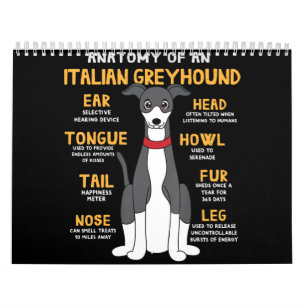 Calendário Cientista Italiano Anatomia Engraçado Cachorro Mãe