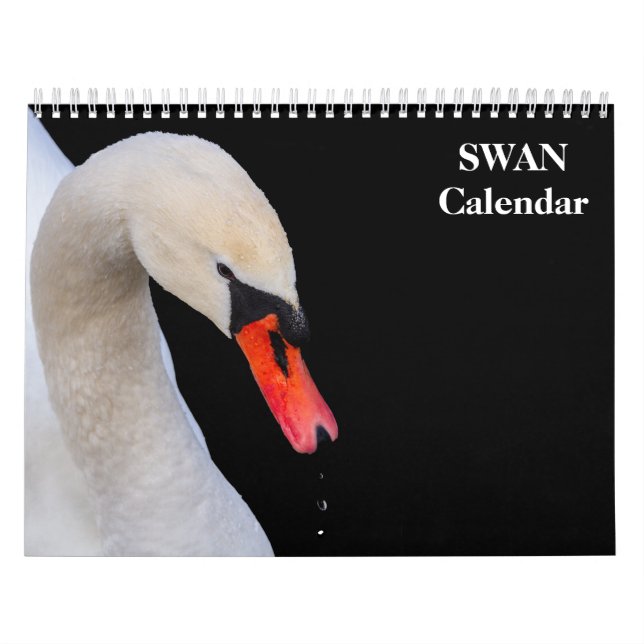 Calendário Cisne 2027 (Capa)