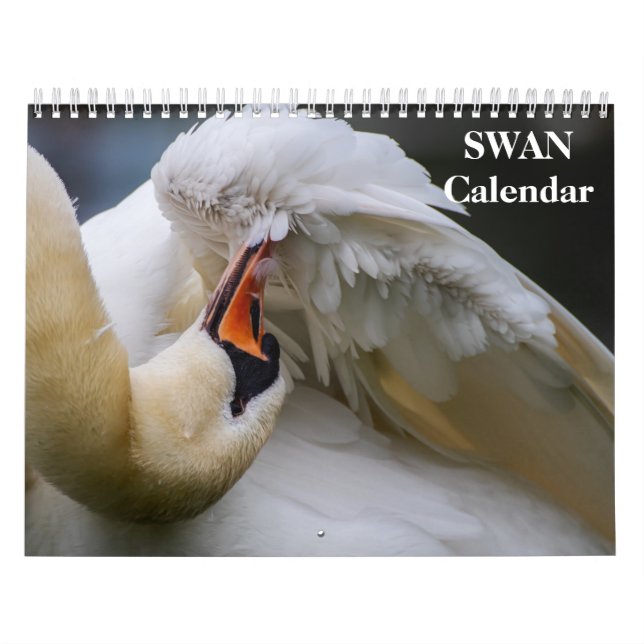 Calendário Cisne 2027 (Capa)
