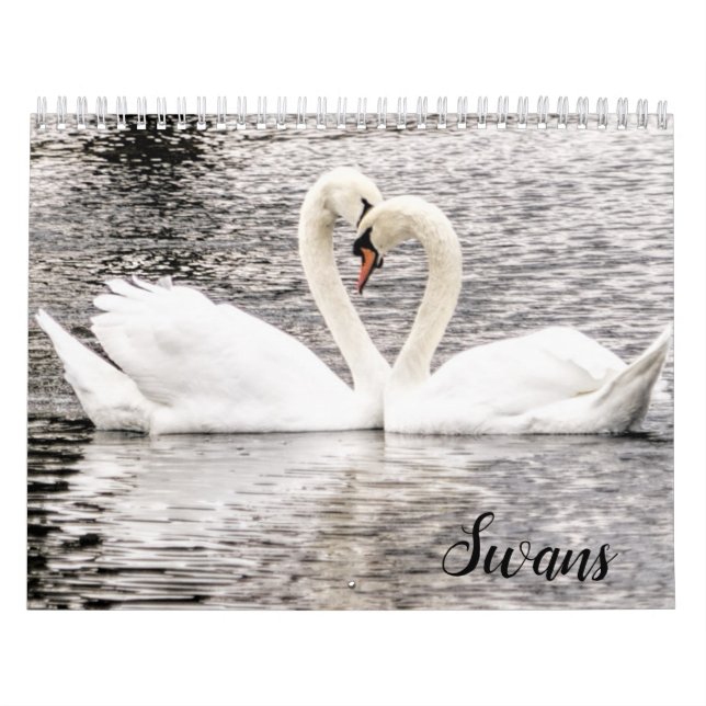 Calendário Cisnes de Spring Grove  (Capa)