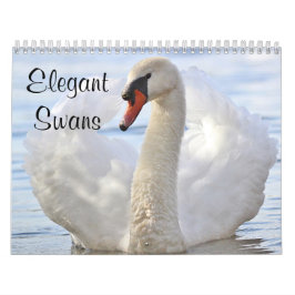 Calendário Cisnes elegantes