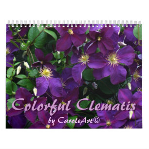 Calendário Clematis colorido 2013 de Z