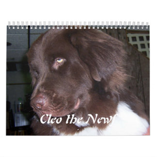 Calendário Cleo o cão de Terra Nova