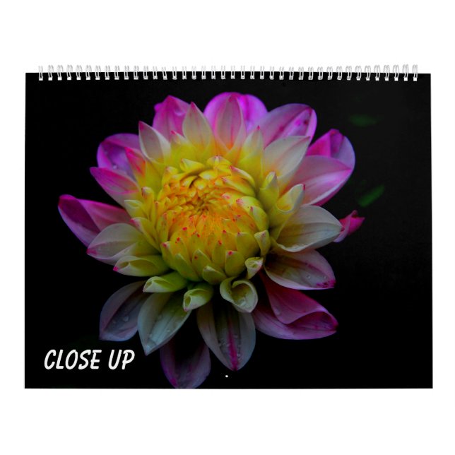 Calendário Close up (Capa)