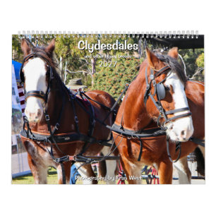 Calendário Clydesdales & outras raças de cavalos pesados 2027
