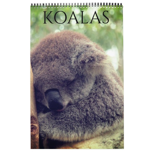 Calendário coalas australianos 2026 (Capa)