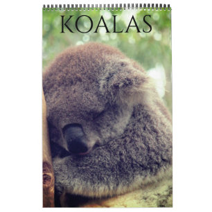 Calendário coalas australianos 2026