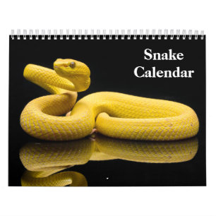Calendário Cobra Calendar 2026