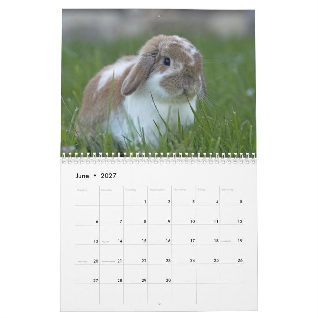 Calendário Coelhos 2016 - 12 meses de coelhos de coelho (Jun 2027)