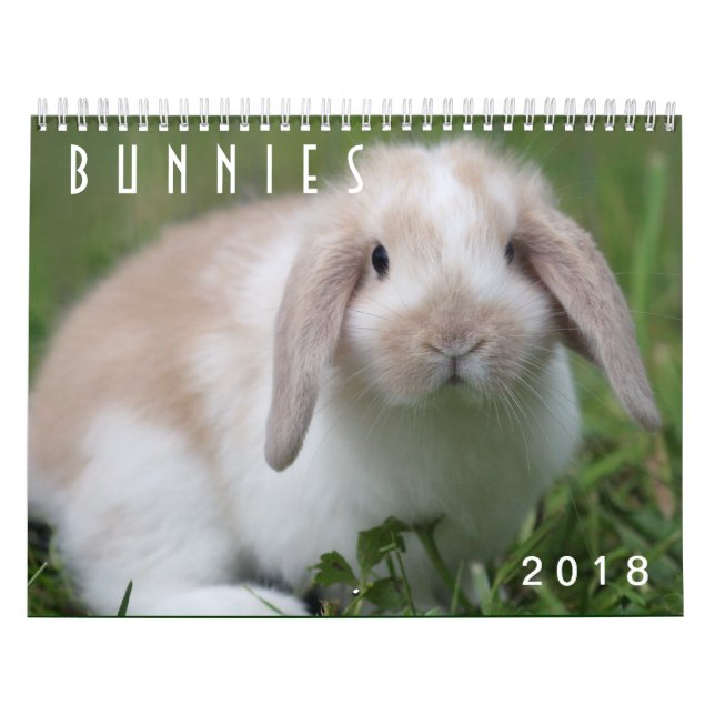 Calendário Coelhos 2018 - 12 meses de coelhos de coelho (Capa)