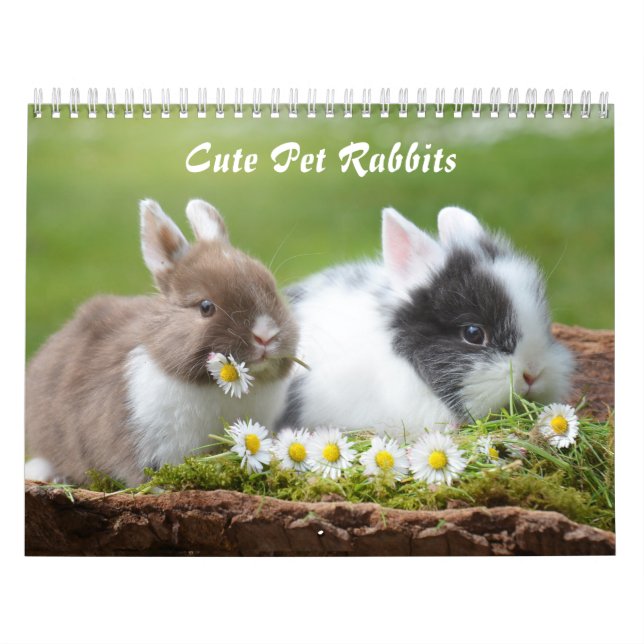 Calendário Coelhos Coelhinhos De Pet (Capa)