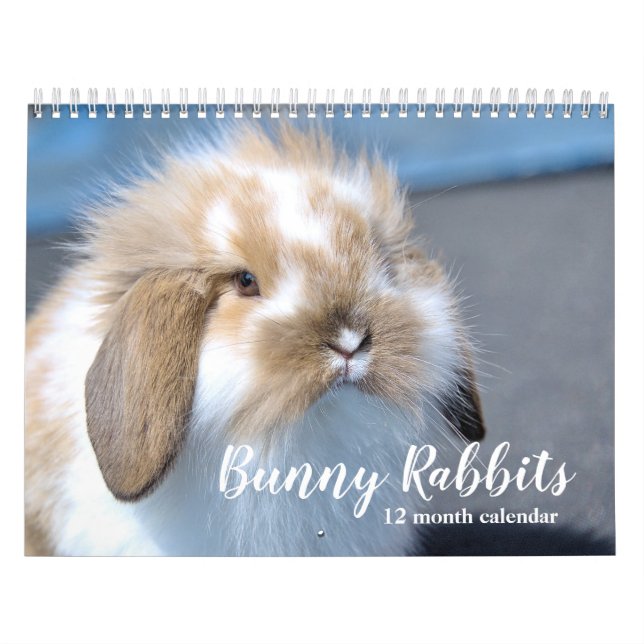 Calendário Coelhos Coelhinhos Doce 2026 (Capa)