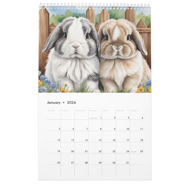 Calendário Coelhos Coelhos Coelhinhos Lop (Jan 2026)