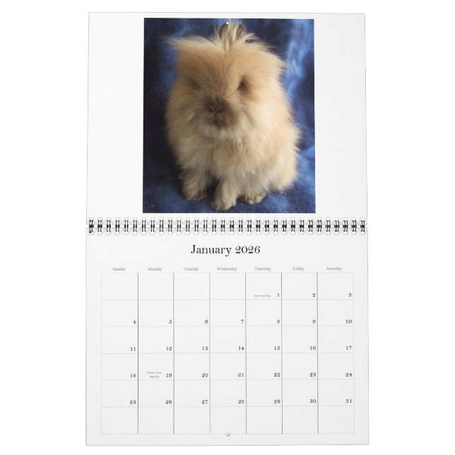 Calendário Coelhos Lionhead 2009-2010 (Jan 2026)