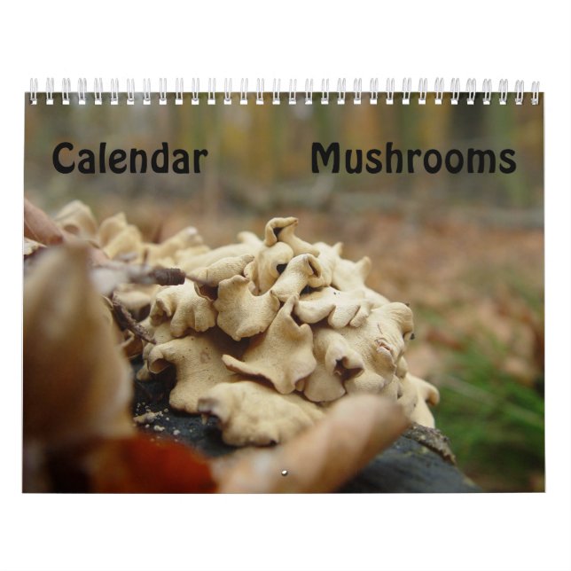 Calendário Cogumelos (Capa)