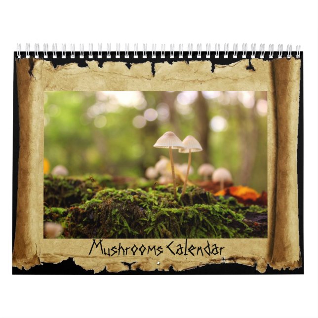 Calendário Cogumelos (Capa)