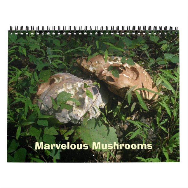 Calendário - Cogumelos Maravilhosos (Capa)