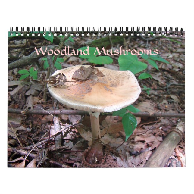 Calendário - Cogumelos Woodland (Capa)