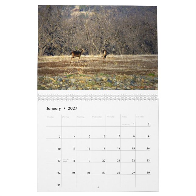 Calendário Coisa selvagem 2014 (Jan 2027)