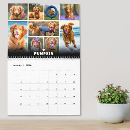 Calendário Colagem de Fotos de Cão Pet