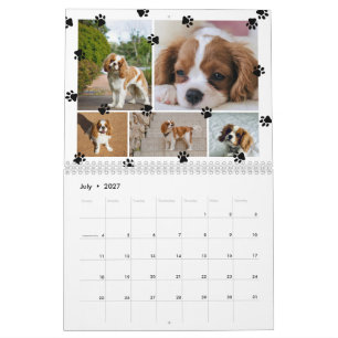 Calendário Colagem de Fotos de Pegadas Fofas de Animais de Es