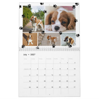 Calendário Colagem de Fotos de Pegadas Fofas de Animais de Es