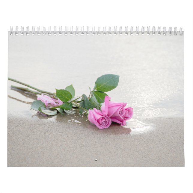 Calendário Coleção de Fotografias (Capa)