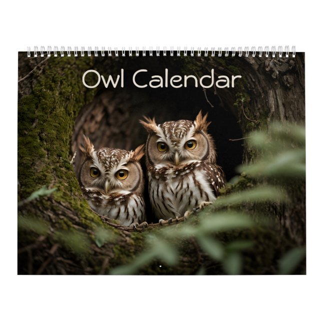 Calendário Coleção de Retratos Gorgeous Owl 2025 (Capa)