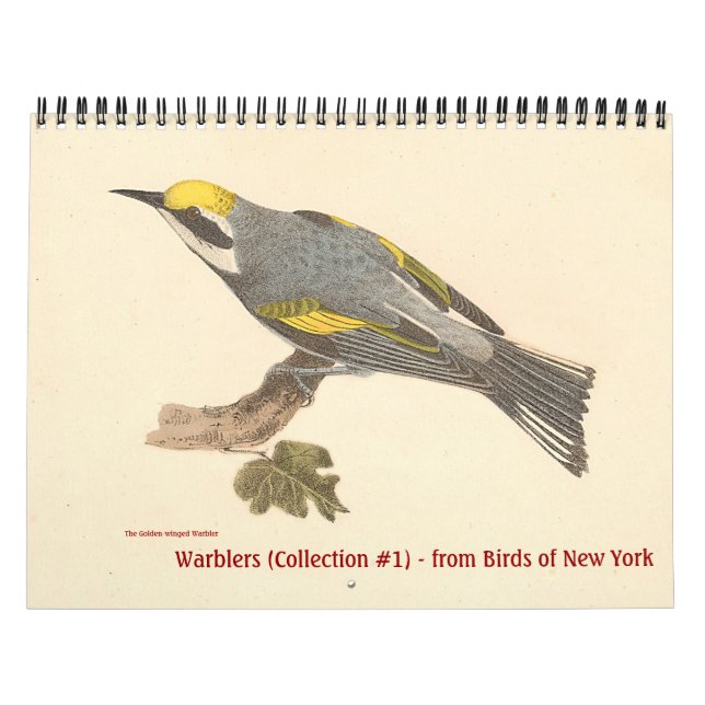 Calendário Coleção de Warbler nº 1 litografias de Aves de NY (Capa)