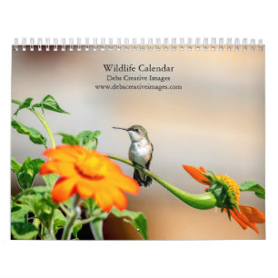 Calendário Coleção Vida Selvagem 2027   Natureza Norte-Americ