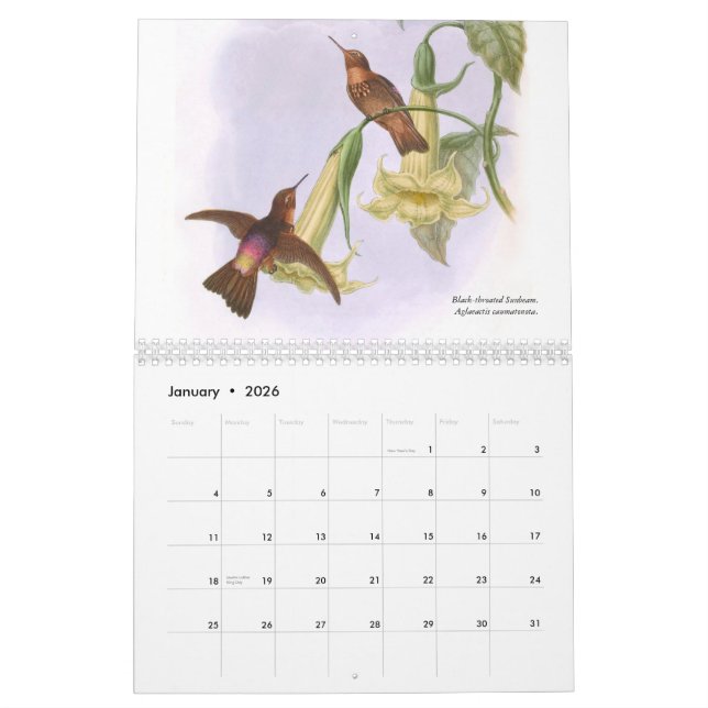 Calendário Colibris 2015 de John Gould (Jan 2026)