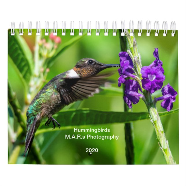 Calendário Colibris 2020 (Capa)