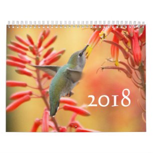 Calendário Colibris abundante